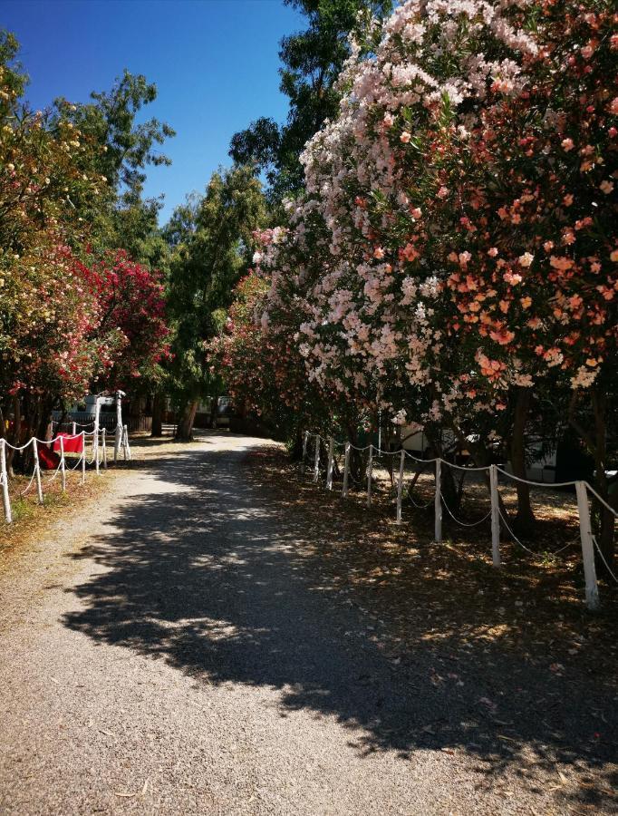 Отель Camping Pitagora Россано Экстерьер фото